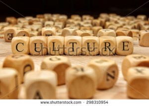 finding a company with a great culture fit